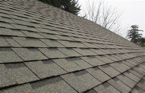 Plymouth Asphalt Shingles Roofing